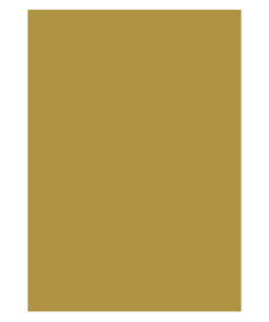 Karton 50x70 300g 10ark Guld