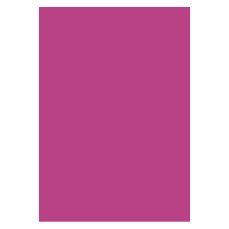 Karton A4 300g 10ark Cerise